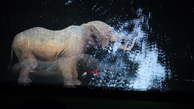 First Vietnamese circus makes use of holograms instead of live animals debuts